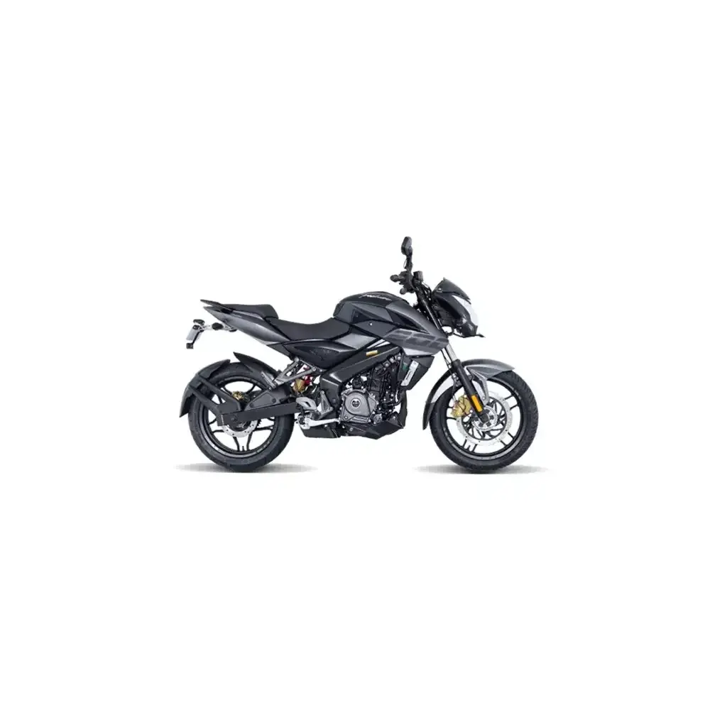 Rent Bajaj Pulsar NS 200, Motorcycle Bike, In Nainital, Nainital, Uttarakhand